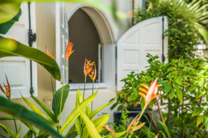 photo immobilier jardins Réunion